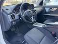 Mercedes-Benz GLK 200 Premium GLK 200 CDI BlueEFFICIENCY Weiß - thumbnail 13