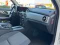 Mercedes-Benz GLK 200 Premium GLK 200 CDI BlueEFFICIENCY Weiß - thumbnail 22