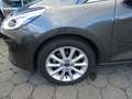 Ford Fiesta 1.0 Ecoboost Titanium X +Navi+Winter-Paket Grigio - thumbnail 3