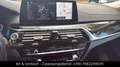 BMW 540 d xDRIVE LUXURY LINE/KAMERA/DIG.TACHO Gris - thumbnail 12