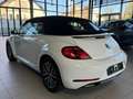 Volkswagen Beetle Sound BMT/Start-Stopp Weiß - thumbnail 9