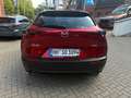 Mazda CX-30 e-SKYACTIV-G M-Hybrid 140 Homura Rood - thumbnail 8
