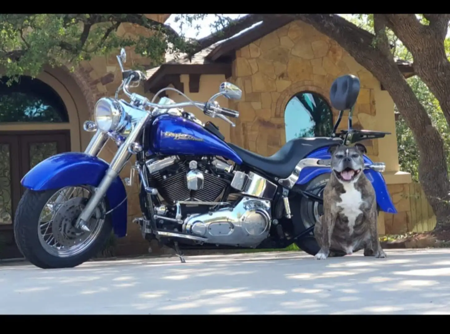 Harley-Davidson Fat Boy Custom Modrá - 1