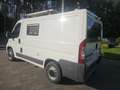 Fiat Ducato Ducato CAMPER 30 100 Multijet L1H1 - thumbnail 5