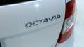 Skoda Octavia Kombi Elegance Weiß - thumbnail 27