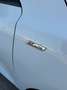 Ford Focus Focus 1.5 EcoBlue 120 CV SW ST-Line Bianco - thumbnail 14
