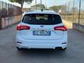 Ford Focus Focus 1.5 EcoBlue 120 CV SW ST-Line Bianco - thumbnail 5