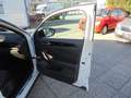 Volkswagen T-Roc 1,5 TSI ACT R-Line DSG Weiß - thumbnail 17