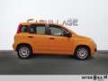 Fiat New Panda Panda 1.0 firefly hybrid City Life s&s 70cv Orange - thumbnail 4