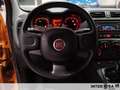Fiat New Panda Panda 1.0 firefly hybrid City Life s&s 70cv Orange - thumbnail 12