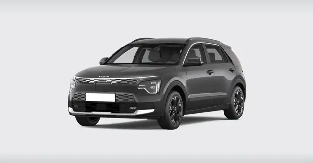 Kia e-Niro 64,8 kWh BUSINESS SPECIAL EDITION