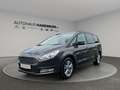 Ford Galaxy Business Edition 2.0 Ecoboost Aut. Grau - thumbnail 1