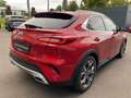 Kia XCeed Platinum Edition Glasdach AHZV Allwetter Rouge - thumbnail 4