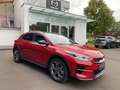 Kia XCeed Platinum Edition Glasdach AHZV Allwetter Rouge - thumbnail 5