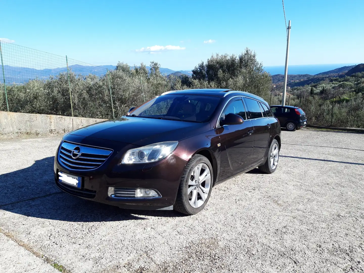 Opel Insignia Biturbo 2.0cdti Euro5 Marrone - 2