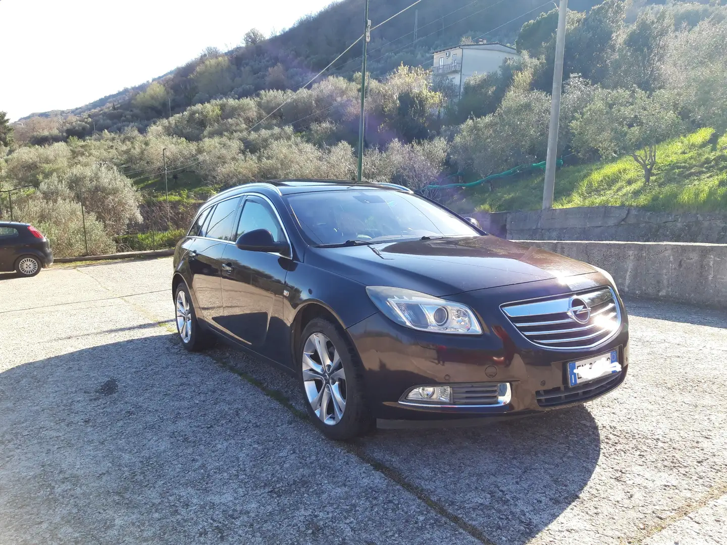 Opel Insignia Biturbo 2.0cdti Euro5 Marrone - 1