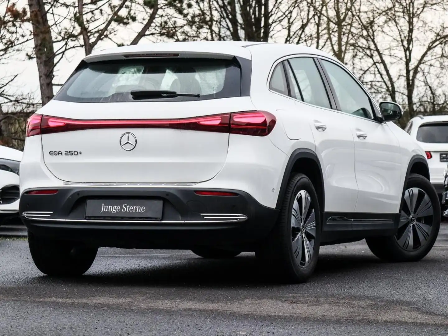 Mercedes-Benz EQA 250 Progressive/Distr/360/Night/LED/Ambi/18" Weiß - 2