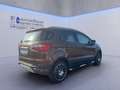 Ford EcoSport 1.5 TDCi Titanium SHZ+Winterp.+KeyLess Oro - thumbnail 6
