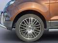 Ford EcoSport 1.5 TDCi Titanium SHZ+Winterp.+KeyLess Oro - thumbnail 21