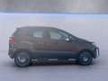 Ford EcoSport 1.5 TDCi Titanium SHZ+Winterp.+KeyLess Oro - thumbnail 7