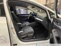 Volkswagen Golf VIII 1.0 eTSI DSG Life Navi ACC DigCockpit Weiß - thumbnail 7