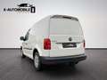 Volkswagen Caddy Nfz Kasten EcoProfi BMT Klima Weiß - thumbnail 4
