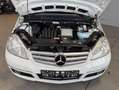 Mercedes-Benz A 160 Weiß - thumbnail 33