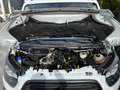 Ford FordTransit Pritsche 350 L4*Koffer*LBW*Pickerl*NEU Weiß - thumbnail 13