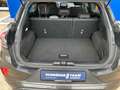 Ford Puma ST-Line ST-Line Grau - thumbnail 17