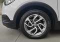 Opel Crossland X Crossland X 1.2 Advance 81cv Gpl * SUPER PROMO Weiß - thumbnail 15