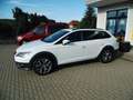 SEAT Leon ST X-Perience 4Drive,LED,NAVI Blanc - thumbnail 3
