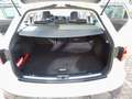 SEAT Leon ST X-Perience 4Drive,LED,NAVI Blanc - thumbnail 10