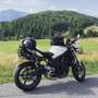 Triumph Street Triple 675 Triumph Street Triple (D.1/D.3) Blanc - thumbnail 4