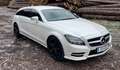 Mercedes-Benz CLS 350 Shooting Brake CDI 4Matic 7G-TRONIC Edition 1 Weiß - thumbnail 1