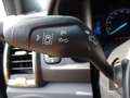 Ford Ranger Wildtrak Doppelkabine 4x4 Grau - thumbnail 14