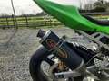 Kawasaki Ninja ZX-6R zx636r Green - thumbnail 4