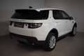 Land Rover Discovery Sport 2,0 TD4 150 4WD SE Aut. Weiß - thumbnail 6