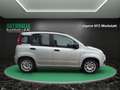 Fiat Panda My Panda~KLIMA~ALLWETTERREIFEN~SERVO~ZENTRAL~5 TÜR Grau - thumbnail 5