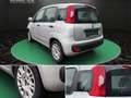 Fiat Panda My Panda~KLIMA~ALLWETTERREIFEN~SERVO~ZENTRAL~5 TÜR Grau - thumbnail 8