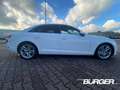 Audi A4 quattro sport 3.0 TDI Navi Bi-Xenon Klimaautom SHZ Weiß - thumbnail 3