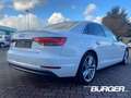 Audi A4 quattro sport 3.0 TDI Navi Bi-Xenon Klimaautom SHZ Weiß - thumbnail 4
