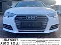 Audi A4 quattro sport 3.0 TDI Navi Bi-Xenon Klimaautom SHZ Weiß - thumbnail 2