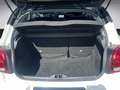 Citroen C3 PureTech 110 S&S EAT6 Shine Pack NAVI 17' Bianco - thumbnail 13