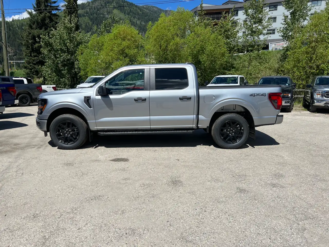 Ford F 150 fotografie Ford F 150