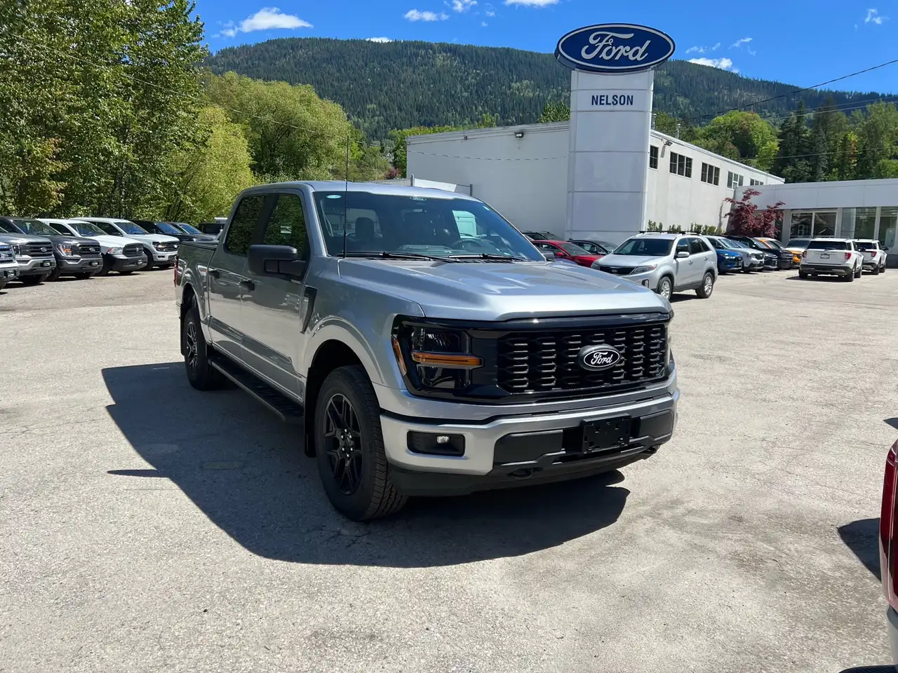Ford F 150 fotografie Ford F 150