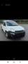 Fiat Panda 1.2 Pop s&s 69cv my19 - thumbnail 1