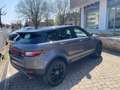 Land Rover Range Rover Evoque Range Rover Evoque 5p 2.0 td4 HSE 180 Cv auto Grau - thumbnail 6