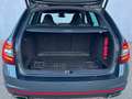 Skoda Octavia RS 2,0 TDI 4x4 DSG Grau - thumbnail 19
