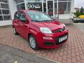 Fiat Panda Panda Pandina 1.0 GSE Hybrid Rouge - thumbnail 16