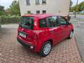 Fiat Panda Panda Pandina 1.0 GSE Hybrid Rouge - thumbnail 12